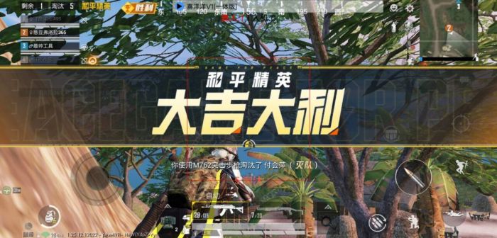 火焰鸟直装和平精英 - 热门辅助一键启用